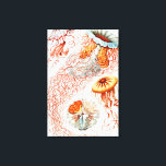 Impressão Em Tela Água-viva, Disco de Ernst Haeckel<br><div class="desc">Água-viva,  Disco Scheibenquallen por Ernst Haeckel Canvas Print</div>