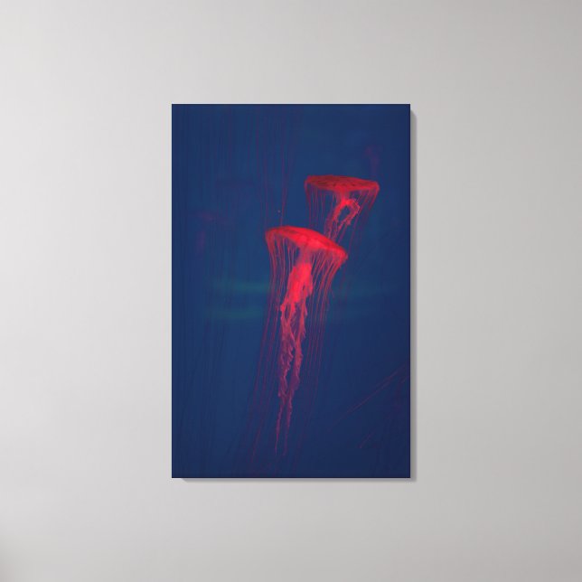 Impressão Em Tela Água-viva vermelha (Frente)