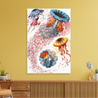 Água-viva Vintage por Ernst Haeckel, Discomedusae