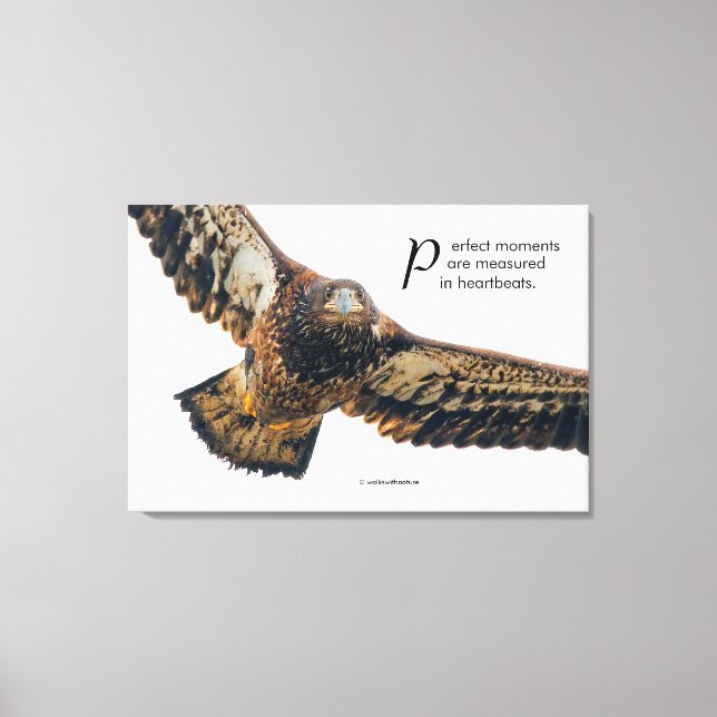 Impressão Em Tela Águia caida de aspas inspiracionais em voo (Frente)