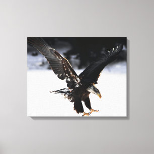 Impressão Em Tela Águia e gelo