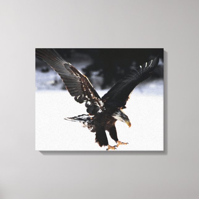 Impressão Em Tela Águia e gelo (Frente)