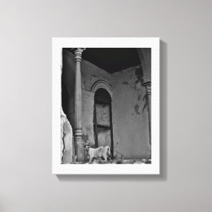 Impressão Em Tela Al Balad Cat