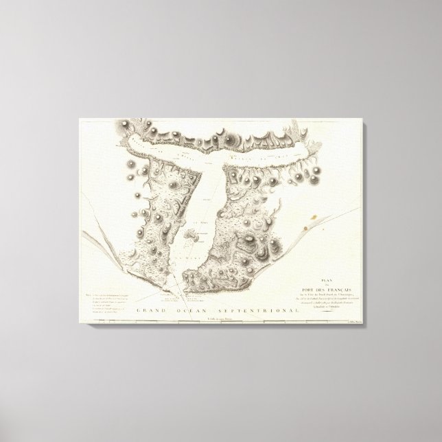 Impressão Em Tela Alasca 4 (Frente)