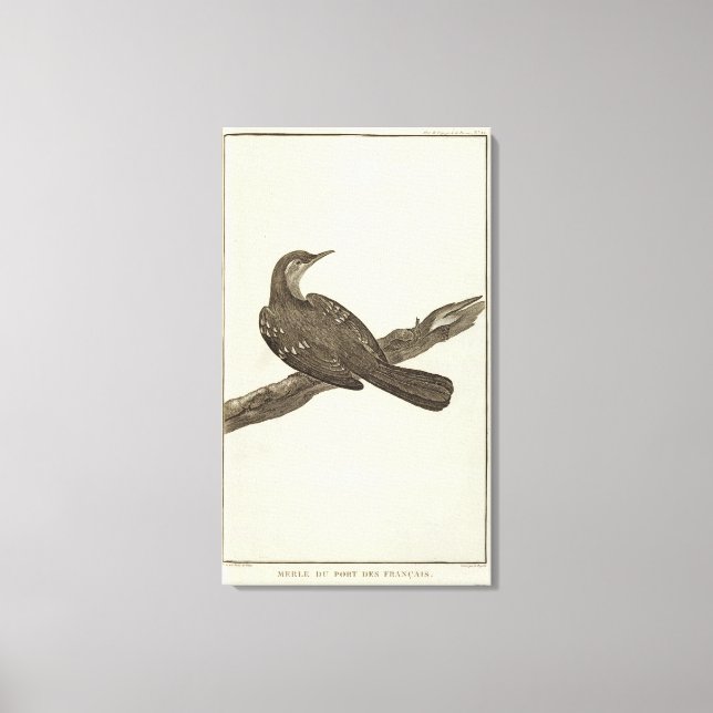 Impressão Em Tela Alasca 6 (Frente)