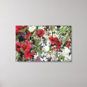 Impressão Em Tela Alasca, Parque Nacional Denali, Tundra Ártica é