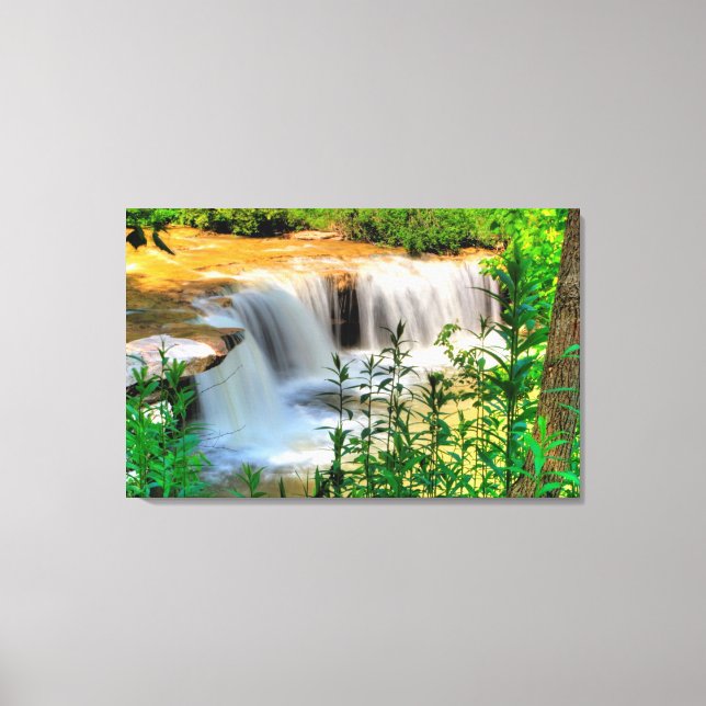 Impressão Em Tela Albert Falls, Virgínia Ocidental (Frente)