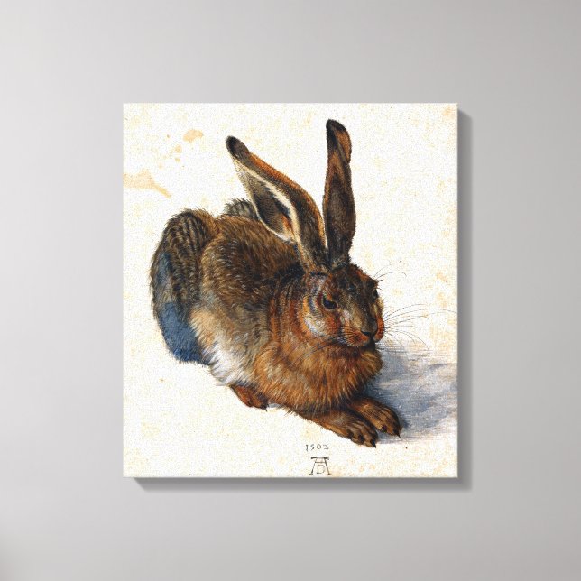 Impressão Em Tela Albrecht Durer Young Hare (Frente)