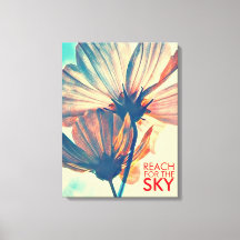 Alcance para a Flor do Cosmos do Céu