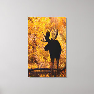 Impressão Em Tela Alces (Alces) do Alces Bull nos salgueiros