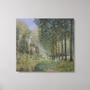 Impressão Em Tela Alfred Sisley o resto pelo córrego