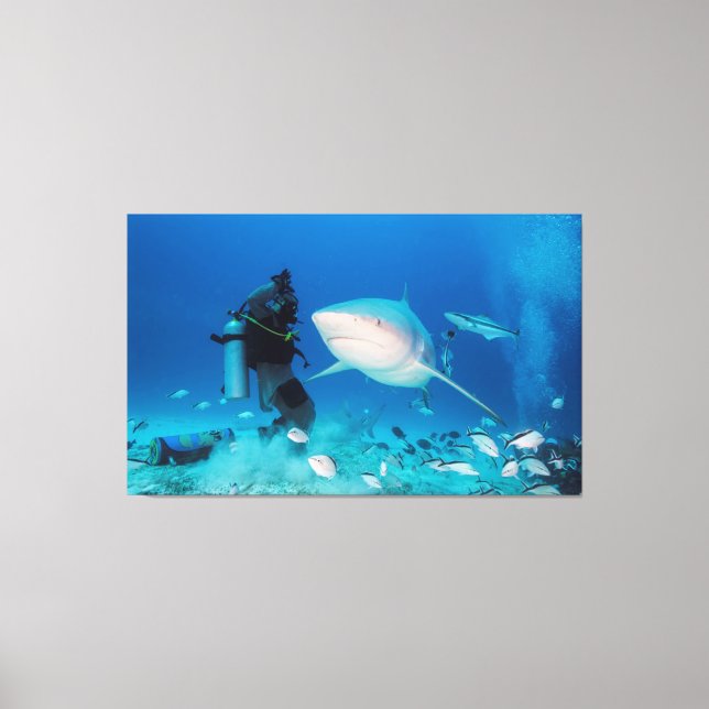 Impressão Em Tela Alimentando O Touro (Frente)