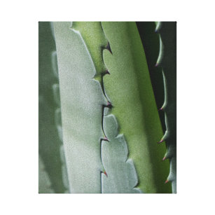 Impressão Em Tela Aloe - Foto Macro Fine Art
