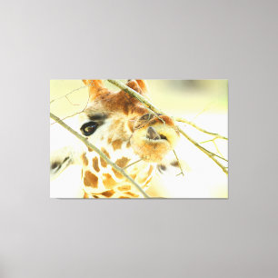 Impressão Em Tela ALTA ESPERANÇA 40x60