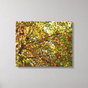 Impressão Em Tela Alterando a cor verde e Dourada da árvore de mapea