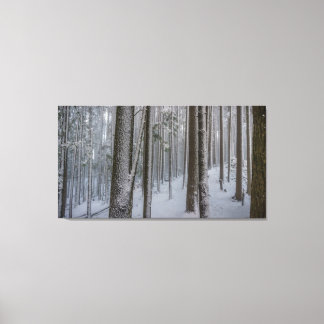 Impressão Em Tela Altura Permanente #2