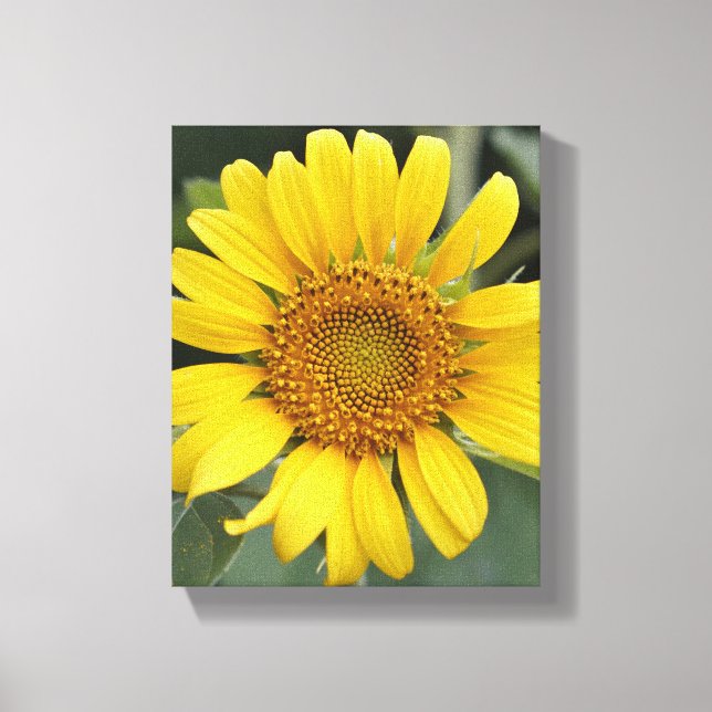 Impressão Em Tela Amarelo sunny bonito 8" x 10" (Frente)