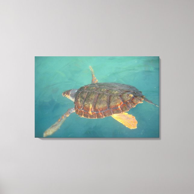 Impressão Em Tela América Central, Panamá, Bocas Del Torro (Frente)