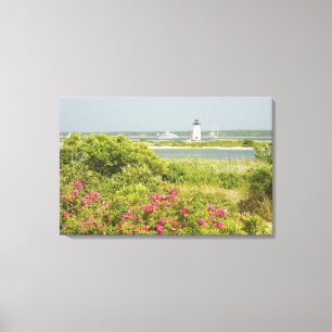 Impressão Em Tela América do Norte, EUA, Massachusetts, Martha's