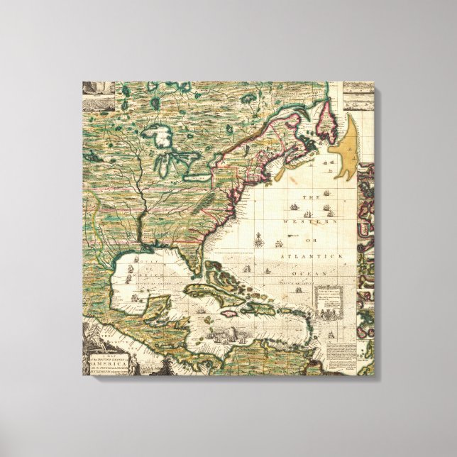 Impressão Em Tela América Sepentronalis (Frente)