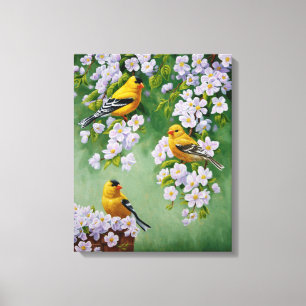 Impressão Em Tela American Goldfinches & Pink Apple Blossoms