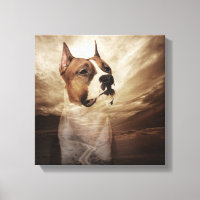 American Staffordshire Terrier - Amstaff