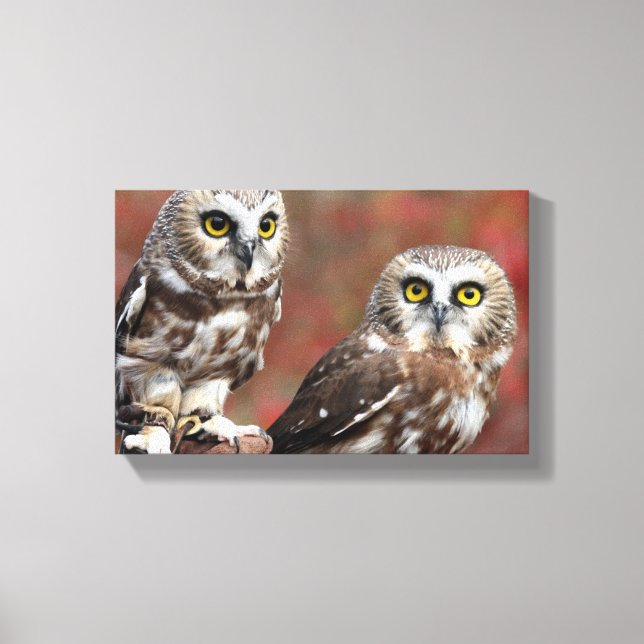 Impressão Em Tela Amigos (Frente)