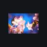 Impressão Em Tela Amigos de Sakura<br><div class="desc">Flores sakura adoráveis de cor rosa, azul macio e fundo rosa. Dia ensolarado da estação do primavera. Uma pintura digital estilizada muito grande a partir de uma fotografia. Arte de canvas enrolada ou esticada para decorar seu lugar. Impressões florais e presentes para qualquer um. Você pode transferir esse design para...</div>