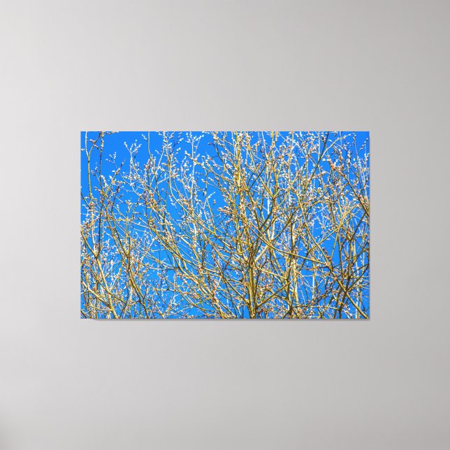 Impressão Em Tela Amigos Selvagens - Manhã De Primavera (Frente)