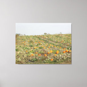 Impressão Em Tela Amish Pumpkin Patch Fotografia Wall Art