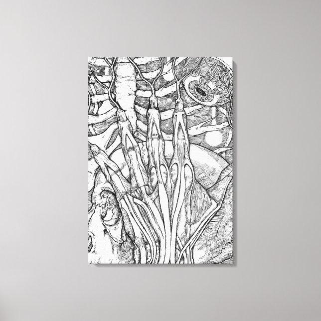 Impressão Em Tela Anatomia (Frente)