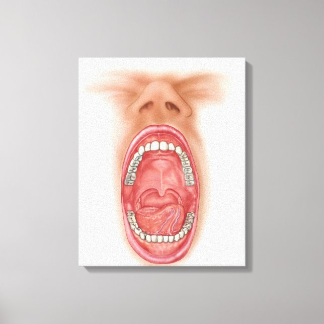 Impressão Em Tela Anatomia Da Cavidade Humana Da Boca (Frente)