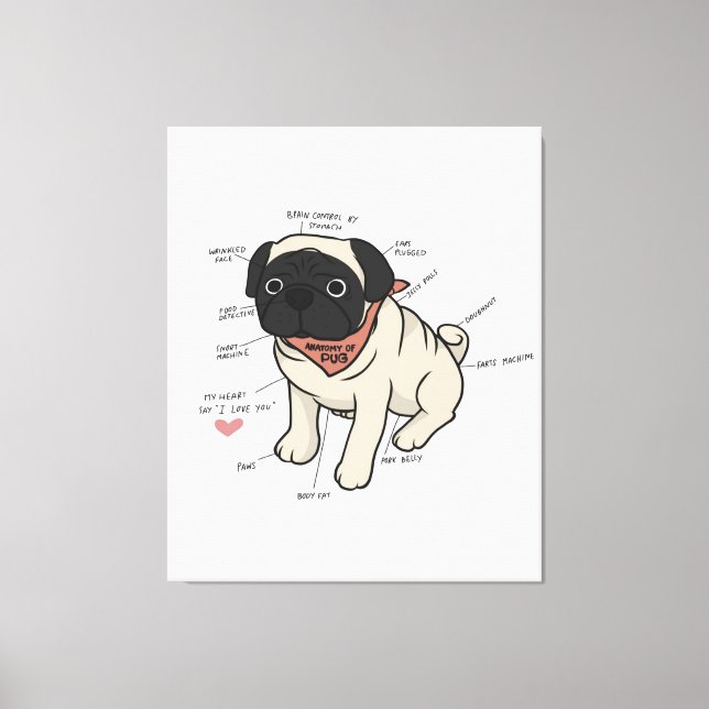 Impressão Em Tela Anatomia Do Cachorro Pug (Frente)