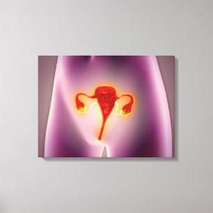 Impressão Em Tela Anatomia do corpo fêmea com útero