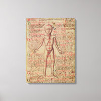 Anatomia do corpo humano