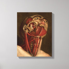 Impressão Em Tela Anatomia Vintage | Cabeça e pescoço