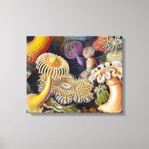 Impressão Em Tela Anêmona-do-Mar Natureza Científica Oceano