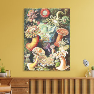 Impressão Em Tela Anêmonas-do-mar de Haeckel Colagem de arte náutica