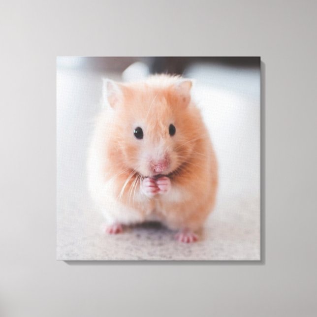 Impressão Em Tela Animais de Amor de Hamster Bonito (Frente)