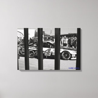 Impressão Em Tela Animais Enjaulados