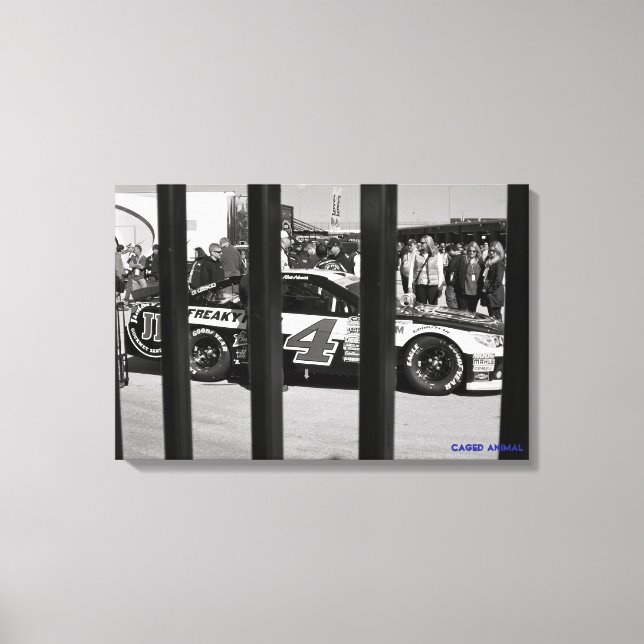 Impressão Em Tela Animais Enjaulados (Frente)