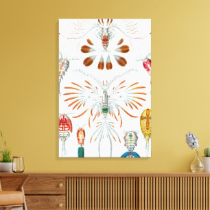 Impressão Em Tela Animais Marinhos Antigos, Copepoda por Ernst Haeck