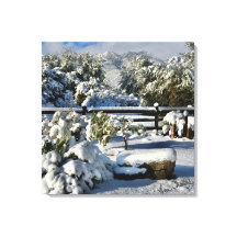 Ann Charles Snowy Day na Arizona