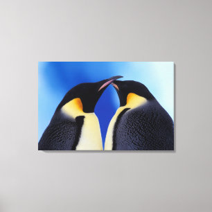Impressão Em Tela Antártida, Pinguins Imperadores
