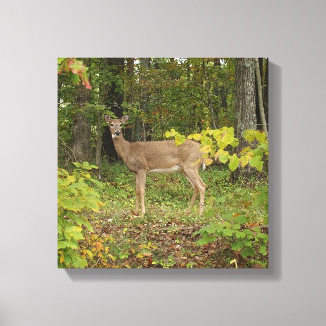 Impressão Em Tela Apenas esperando (Frente)