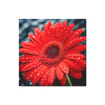 Após a Chuva, a pintura do realismo de Gerbera Dai