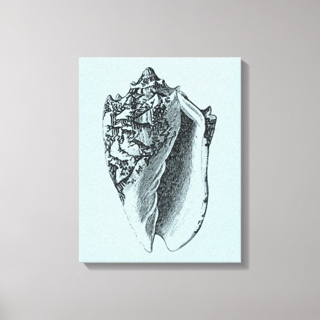 Impressão Em Tela Aqua Conch Shell (Frente)