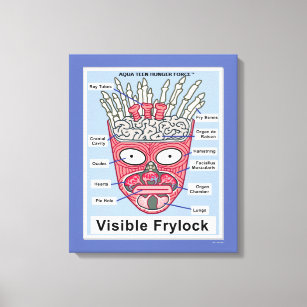 Impressão Em Tela Aqua Teen Fome Force Visible Frylock Poster