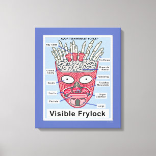 Impressão Em Tela Aqua Teen Fome Force Visible Frylock Poster