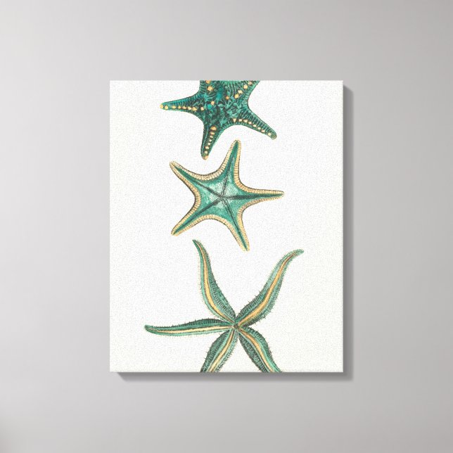 Impressão Em Tela Aquamarine Triple Starfish (Frente)